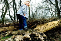 Kind klimt op speelboom