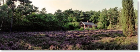 huis-aan-heiderand-180gr