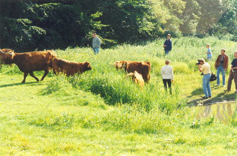 Hooglanders en mensen