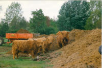 Hooglanders en mensen