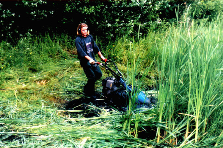 Maaien van ruigtekruiden